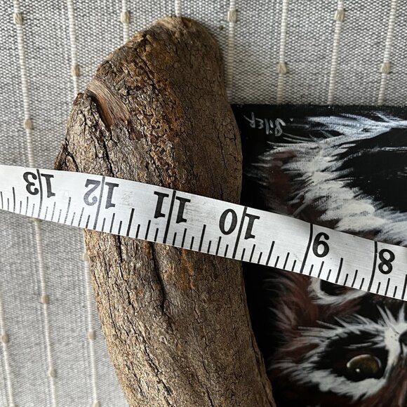 Rustic Hand Painted Raccoon Folk Art Wood Branch Frame Dimensional signed - Picture 7 of 13